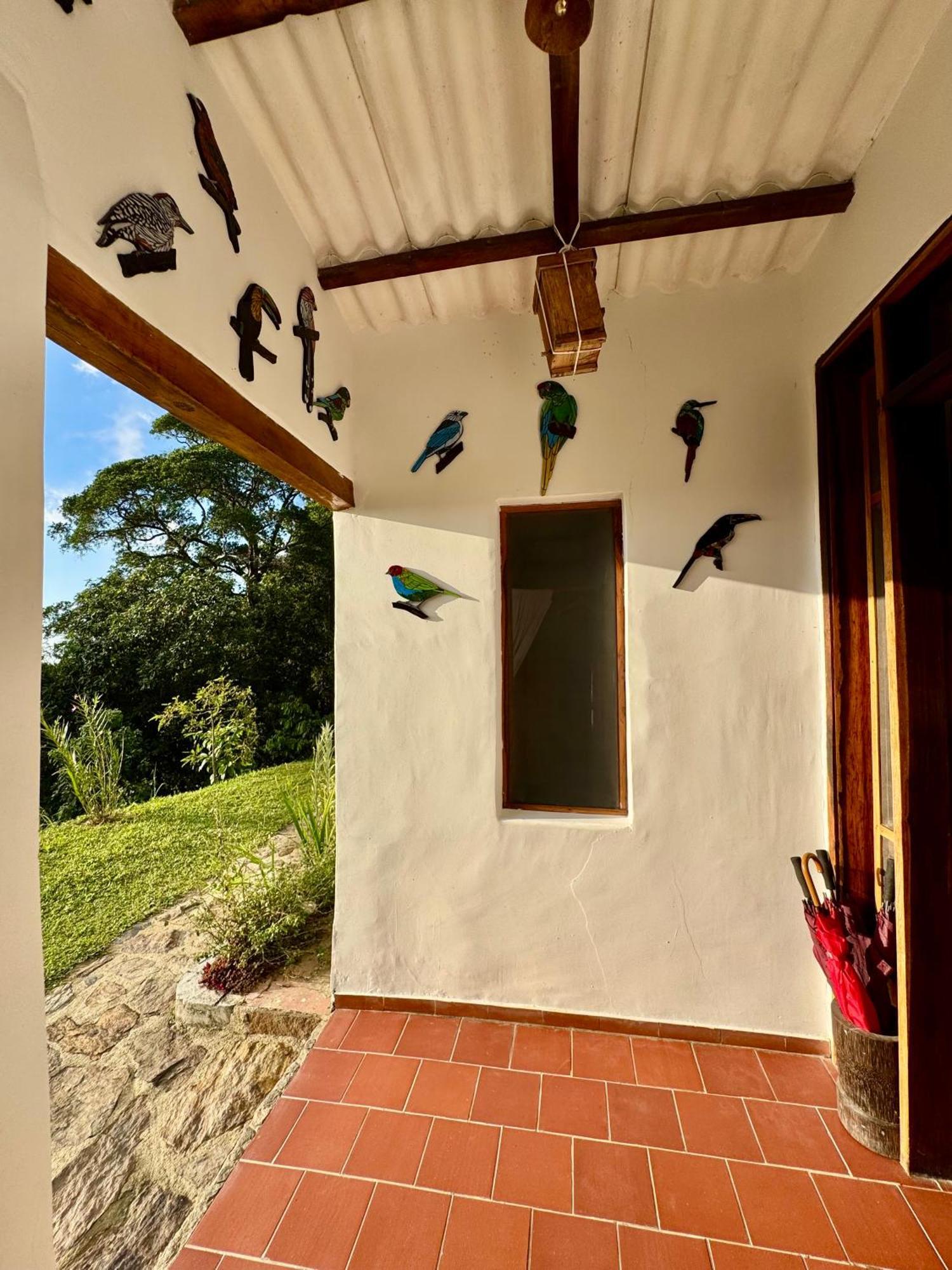 Mundo Nuevo Eco Lodge مينسا المظهر الخارجي الصورة